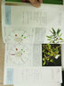 【新華正版包郵】新華正版包郵 芳療實證全書+新精油圖鑒 種精油科研新知集成 中信出版社 中信出版社 曬單實拍圖
