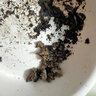 茶枯餅 茶枯粉洗頭護發(fā)茶麩餅養發(fā)茶粕渣餅油茶餅茶子枯茶籽子山茶 褐色 整塊圓餅約8斤+10個(gè)過(guò)濾袋 曬單實(shí)拍圖