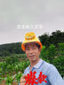 班盾太陽(yáng)能充電六風(fēng)扇超強(qiáng)風(fēng)力工地防曬藍(lán)牙充電照明多功能夏季風(fēng)扇帽 黃色-【雙風(fēng)扇雙空調(diào)】-10000毫安+藍(lán)牙 曬單實(shí)拍圖