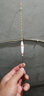 冠標 SL系列納米浮漂鯽魚(yú)鯉漂棗核型鯽魚(yú)標行程加粗尾醒目浮漂大浮力 冠標SL-006 3號漂一支 曬單實(shí)拍圖