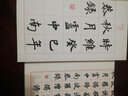 當代實(shí)力派書(shū)家書(shū)心經(jīng)：盧中南書(shū)心經(jīng)（宣紙豪華版） 曬單實(shí)拍圖