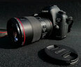 佳能（Canon）EF 100mm f/2.8L IS USM 新百微鏡頭 昆蟲口腔牙科專用微距頭 EF100mm f2.8L IS USM新百微鏡頭 曬單實(shí)拍圖