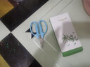有雙剪腳指甲刀剪灰指甲專用 精品工藝 高檔尖嘴修甲腳趾甲溝炎剪子 A級8004大號【藍(lán)柄指甲剪】 曬單實(shí)拍圖