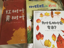 樹(shù)媽媽的衣服?小牛頓的第一套科普繪本?樹(shù)葉在四季中的變化及原因?[3-8歲] 曬單實(shí)拍圖