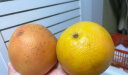 庄庚  南非进口红心西柚葡萄柚新鲜应季当季孕妇水果 西柚8个单果 270-300克 实拍图