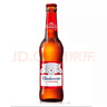 百威Budweiser/百威啤酒淡色拉格國(guó)產(chǎn)經(jīng)典醇正小百威啤酒330ml瓶裝 330mL 12瓶 破損包賠 不要拒收 曬單實(shí)拍圖