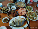 魚(yú)姐海成 青島大蝦鮮活海鮮水產(chǎn)超大新鮮冷凍基圍蝦海蝦鮮蝦青蝦500g袋裝 13-14cm 曬單實(shí)拍圖