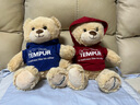 泰普爾（Tempur）泰迪熊公仔毛絨 慢回彈記憶棉親膚舒適抱枕生日七夕情人節(jié)禮物熊 藍(lán)色 44 曬單實(shí)拍圖