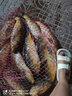 馬焱精品小黃面魚(yú)餌黑坑小黃面面鯉魚(yú)餌料散炮大包黃砂鯉魚(yú)打爆口 guanjun面【原味】+【加強型】各一包共8斤 曬單實(shí)拍圖
