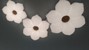 豪盛特（HAOSHENGTE）客廳吸頂燈網(wǎng)紅花瓣奶油風兒童房智能燈家用溫馨大廳燈2025年新款 全光譜 白色 單頭55CM 三色變光 曬單實拍圖