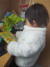 英文原版 Dr Seuss's ABC 蘇斯博士經(jīng)典繪本 The Big Book of Beginner 七色入門 Hop on Pop 戴帽子的貓Cat in the Hat's 綠山墻 【故事選 曬單實(shí)拍圖