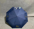 藍(lán)雨（LANYU）遇水變色自動(dòng)雨傘定制印logo廣告?zhèn)銇?lái)圖定制開(kāi)業(yè)國(guó)潮錦鯉禮品傘 變色錦鯉【蒂芙尼藍(lán)】 8骨 曬單實(shí)拍圖