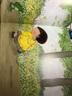 棒棒仔品格養成圖畫(huà)書(shū) 青蛙與男孩 3-6歲幼兒園兒童學(xué)習硬皮繪本親子伴讀書(shū)單 曬單實(shí)拍圖