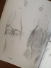 素描人體解剖大全 曬單實拍圖