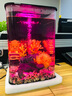 biOrbFLOW30L英國(guó)小魚(yú)缸生態(tài)桌面魚(yú)缸水族箱迷你客廳小型創(chuàng)意水族箱 黑缸MCR燈+圖片造景2 曬單實(shí)拍圖