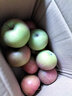 徐暖暖東北老樹(shù)小國光蘋(píng)果粉面酸甜 酸甜丑蘋(píng)果新鮮水果端午節 2斤凈重(單品60-65mm) 曬單實(shí)拍圖