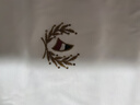 Navigare意大利小帆船白色長(zhǎng)袖T恤男士春季純棉簡(jiǎn)約打底衫通勤百搭上衣男 漂白 M /48 曬單實(shí)拍圖