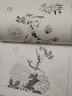 芥子园画谱 白话文版无删减芥子园画传王概著巢勋临本国画临摹画册花鸟画谱工笔画技法写意画入门工具教程书 实拍图