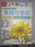 世界繪畫經(jīng)典教程：素描與色彩的極致表現(xiàn)（繪客出品） 曬單實(shí)拍圖