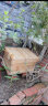 蜂之家蜜蜂蜂箱全套中蜂养蜂箱土蜂煮蜡诱蜂巢框套餐杉木养蜂工具批发 【3礼】煮蜡蜂箱+5个中蜂框 实拍图