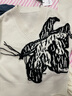 艾諾絲雅詩冬新品流蘇提花V領(lǐng)100%綿羊毛針織衫毛衣11018056 白色 S 曬單實(shí)拍圖