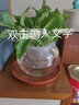 花伴你水培植物玻璃瓶透明玻璃花瓶容器綠蘿花盆圓球形魚(yú)缸水養大號器皿 20圓球花瓶-土培 曬單實(shí)拍圖