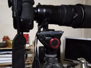 曼富圖（Manfrotto）Manfrotto MVH500AH單反微單相機觀(guān)鳥(niǎo)打鳥(niǎo)鋁合金三腳架把手液壓云臺婚慶影樓專(zhuān)業(yè)攝影攝像云臺 曬單實(shí)拍圖