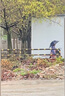漁之源釣魚傘帽頭戴式雨傘帽防曬斗笠折疊頭頂傘遮陽防雨帽傘漁具用品 【SUPER布圈款】雙層銀膠 中號+冰袖 曬單實拍圖