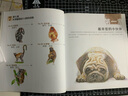 色鉛筆繪畫實(shí)用教程--戀上手繪?動(dòng)物之趣 曬單實(shí)拍圖