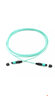 菲尼特 Pheenet 光纖跳線MPO-MPO電信級(jí)40G預(yù)端接跳線100G光模塊用集束光纖線OM3 8芯（OM3）MPO/MPO 進(jìn)口低損 5米 曬單實(shí)拍圖