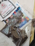 花中酷 重樓 重樓籽七葉一枝花 云南滇重樓種基地 七葉一枝花滇重樓種子 1年苗特價(jià)5顆    帶根帶芽 曬單實(shí)拍圖