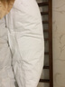 SHOPMARRIOTT 萬豪化纖枕芯 五星級(jí)酒店 單人高枕側(cè)睡枕 纖維枕頭 四季通用 51×76 cm（單只+保護(hù)套） 曬單實(shí)拍圖