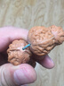 盤道 核桃文玩手串 野生秋子核桃手串 紅皮小秋子核桃手把件 【入門級】2.5cm 曬單實(shí)拍圖