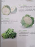 常見蔬菜圖鑒 常見蔬菜的鑒別、食用手冊，圖文并茂、科學(xué)實用、內(nèi)容豐富 曬單實拍圖