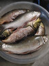 名人堂MRT 魚線2036主線子線釣魚線超強(qiáng)拉力路亞線漁具用品臺(tái)釣線尼龍線柔順耐磨 2036主線 3.0 曬單實(shí)拍圖