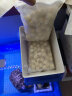 派乐特 鱼缸过滤材料细菌屋滤材生化球硝化细菌培菌球 培菌球500g 实拍图
