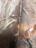 唐布拉新疆伊犁特產(chǎn)哈薩克生熏馬腸熏馬肉真空風(fēng)干馬肉馬腸1000g 生熏馬腸 1000g 1袋 曬單實拍圖