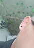 BJYL黑色耳釘男士韓版個(gè)性潮男耳環(huán)女時(shí)尚圓形嘻哈單只啞鈴耳飾品 4mm黑色單只 曬單實(shí)拍圖