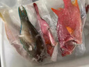 海南三沙西沙魚 青衣魚西星斑彩眉魚海鮮套餐雜魚組合裝五斤 3斤裝珊瑚魚組合（2-4條） 曬單實(shí)拍圖