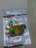壽禾 東北姑娘果燈籠果種子洋菇娘黃金莓盆栽蔬菜陽(yáng)臺(tái)盆栽秋冬季種籽 大鼻子紫菇娘果種子100粒 曬單實(shí)拍圖