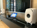 真力（Genelec） 德國 直郵芬蘭真力Genelec三分頻同軸智能有源HIFI音箱旗艦款 白色 8341A 單只 曬單實(shí)拍圖