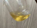 陛贊2025春茶清明茶茶農(nóng)直銷河源紫金龍窩綠茶茶葉蜜香蟬茶高山500g 曬單實(shí)拍圖