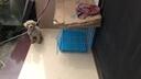 遠揚渴得狗籠中小型犬加粗加密折疊免安裝帶廁所泰迪比熊兔子通用籠 藍色 M號【長(cháng)60*寬43*高52cm】 曬單實(shí)拍圖