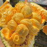 彪禮海南菠蘿蜜整個(gè)次日達(dá)飽滿(mǎn)脆甜非榴蓮蜜三亞黃肉樹(shù)菠蘿波羅蜜現(xiàn)摘 菠蘿蜜（18-22斤）韻達(dá) 24h內(nèi)發(fā)貨 曬單實(shí)拍圖