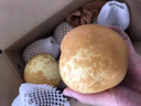 樺萱連州潭嶺水晶梨 廣東清遠(yuǎn)高山脆冠梨翠冠梨黃金梨子十斤水果禮盒 五斤中果 精選禮盒裝 曬單實(shí)拍圖