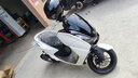 YAMAHA雅馬哈摩托車踏板車巡鷹125國四整車電噴全新巡航踏板大綿羊 巡鷹125/豪華版/白色 曬單實拍圖