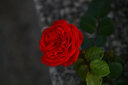 佳能（Canon）EOS 60D 70D 80D 77D 90d 學生拍照視頻錄像二手單反相機 70D+18-200 騰龍 套機 99新 曬單實拍圖