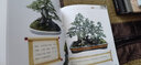 圖解盆景制作與養護 化學(xué)工業(yè)出版社 顧永華,丁昕 編 書(shū)籍 圖書(shū) 曬單實(shí)拍圖
