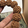 今夕 尼泊爾金剛菩提手串五瓣爆肉原籽5瓣紅皮黃皮矮樁雙龍紋收藏級佛珠念珠手釧男文玩禮品飾品【把玩級】 精品雙龍紋 爆肉18-19mm13顆+1顆備籽 曬單實(shí)拍圖
