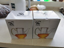 borun HOME全玻璃泡茶壺茶具耐高溫加厚普洱綠茶紅茶杯辦公室過濾沖茶茶水分離 綠把泡茶壺420ML 曬單實拍圖